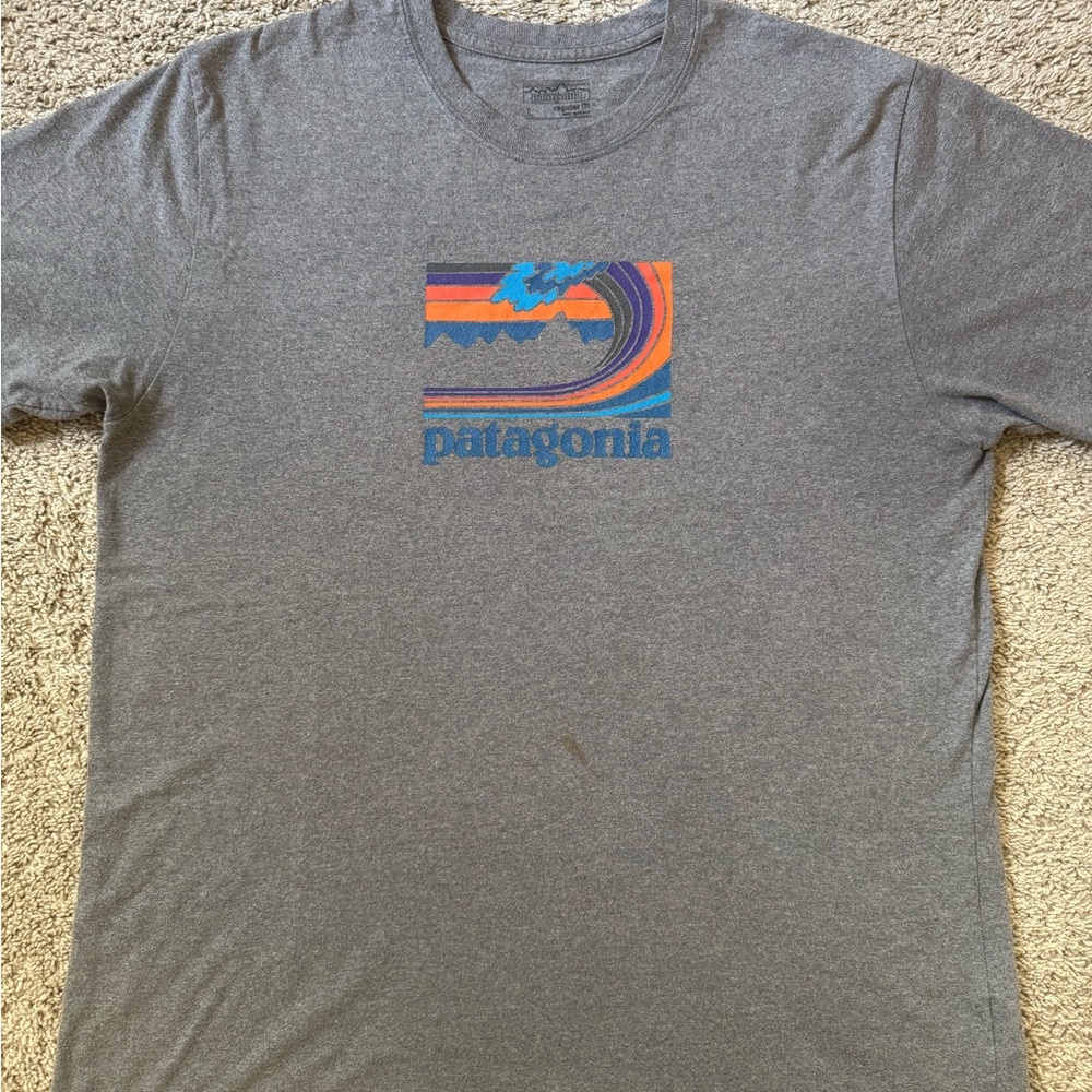 Patagonia Gray and Blue Graphic Tee